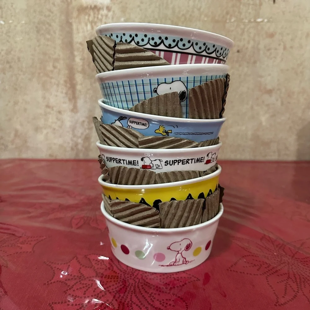 Peanuts Snoopy Pet Bowl collection